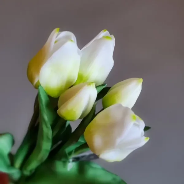 Tulpen boeket wit