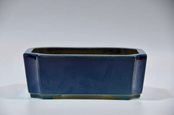 154. Rectangle bleu 23x16x6,5
