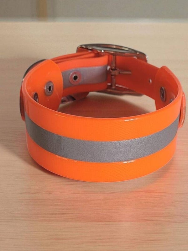 Super praktisches Schnallenhalsband mit Reflektorstreifen