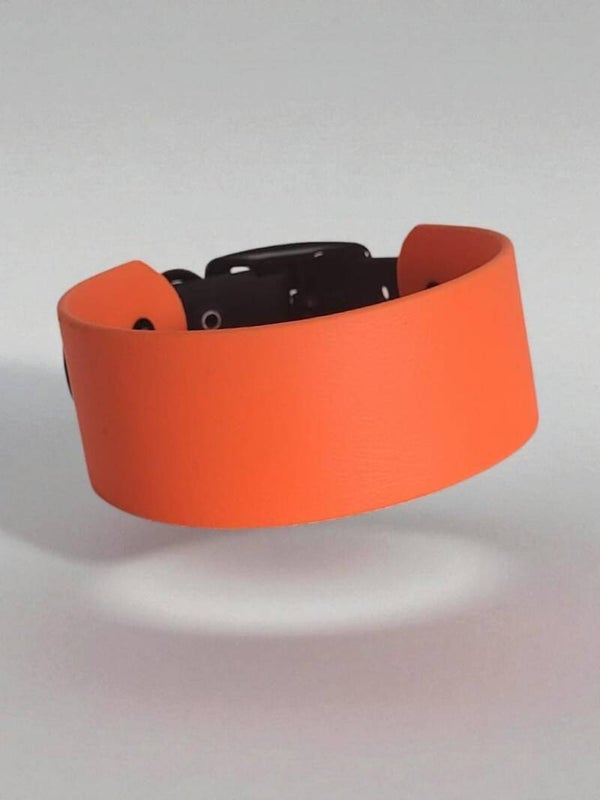 Leuchtendes Schnallenhalsband aus Biothane