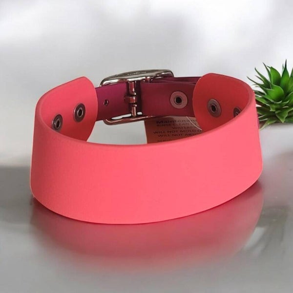 Farbenfrohes Schnallenhalsband aus Biothane