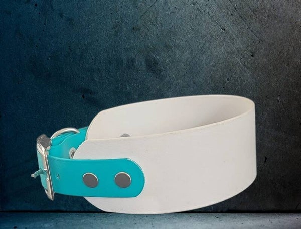 Biothane Halsband türkis