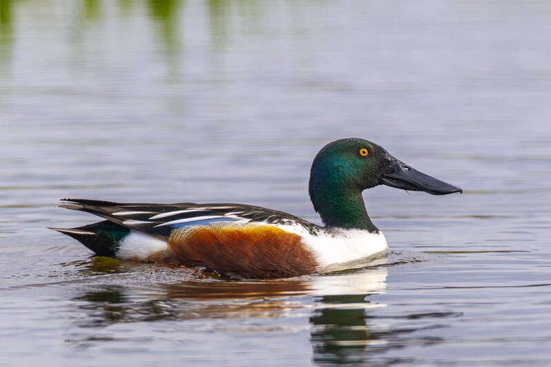 r5ii4676-standard.jpg