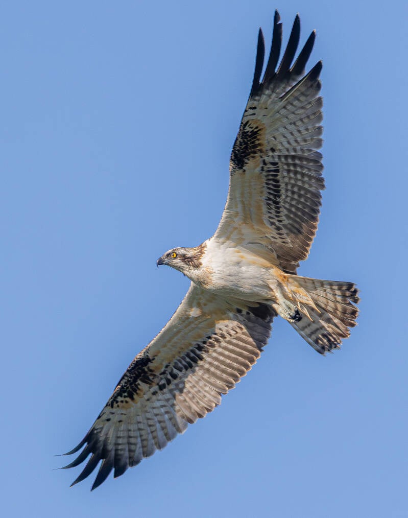 r5ii6986-standard.jpg