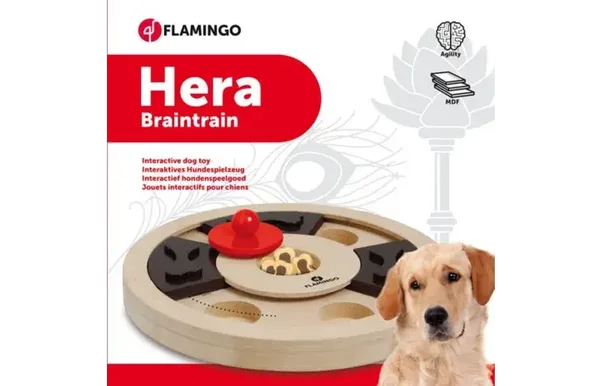 braintrainer hond 25cm