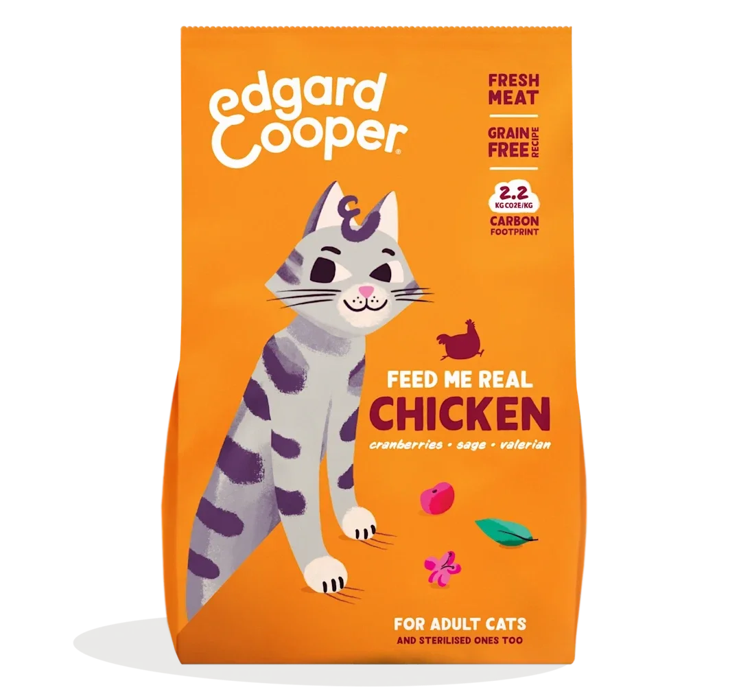 korrel kat adult kip