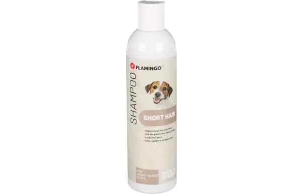 shampoo kortharige rassen met avocado
