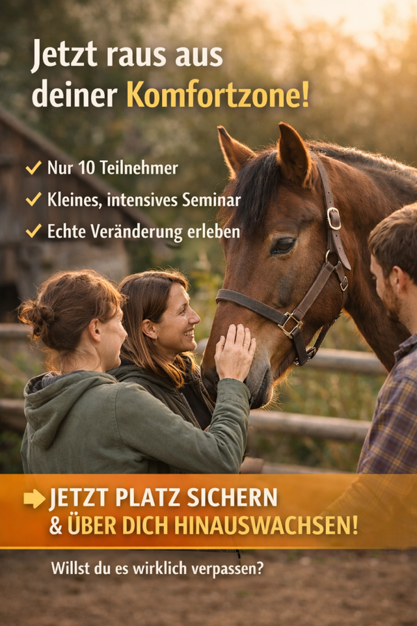 🐴 Raus aus der Komfortzone. Rein in deine Stärke.