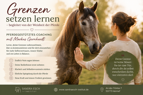 Grenzen setzen lernen – begleitet von der Weisheit der Pferde Lerne, deine Grenzen wahrzunehmen, klar zu kommunizieren und für dich einzustehen – begleitet von der ehrlichen und wertfreien Weisheit der Pferde.