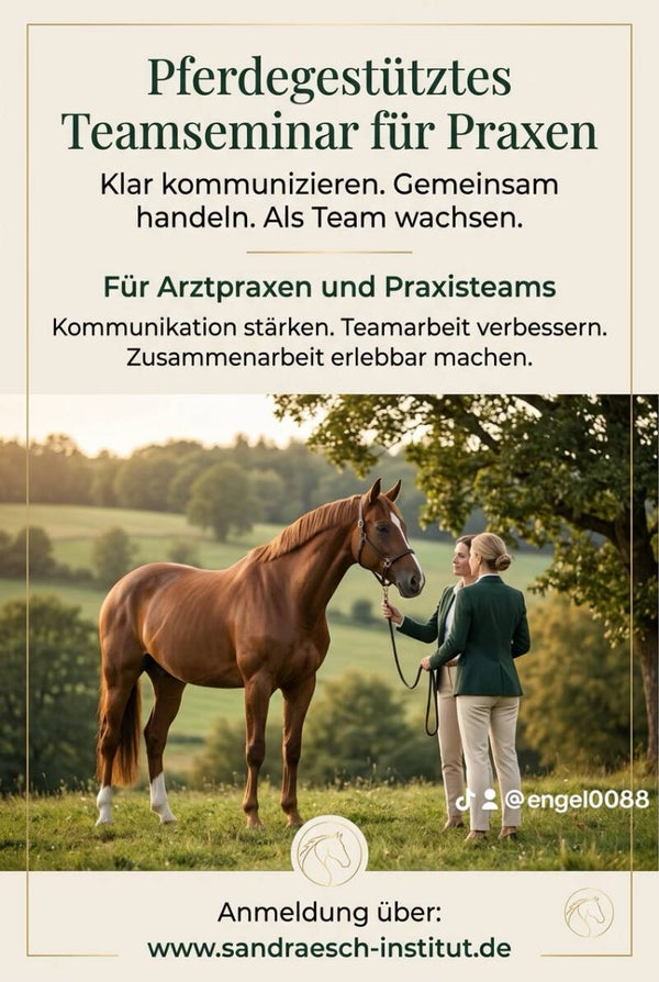 Klar kommunizieren. Gemeinsam handeln. Als Team wachsen. Pferdegestütztes Tagesseminar für Arztpraxen und Praxisteams