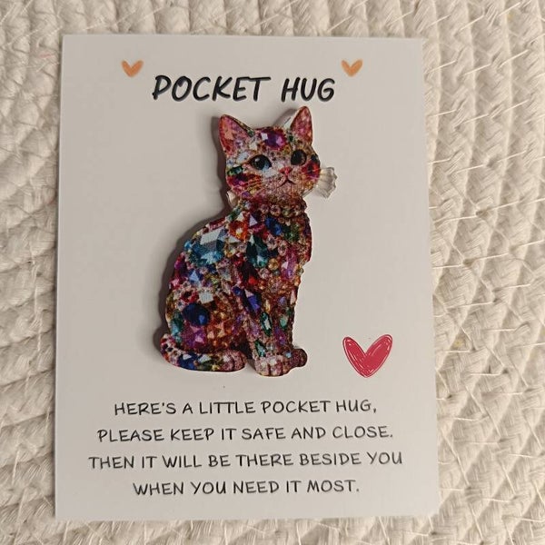 Pocket Hug Kleurrijk Katje