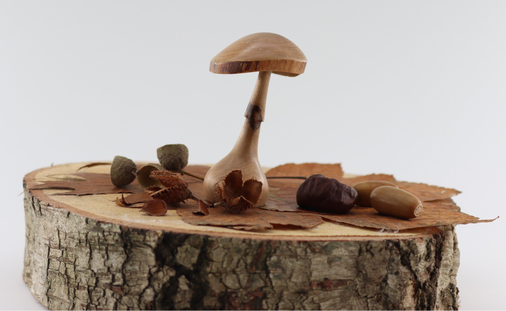 Paddenstoel gemaakt van Laurierhout