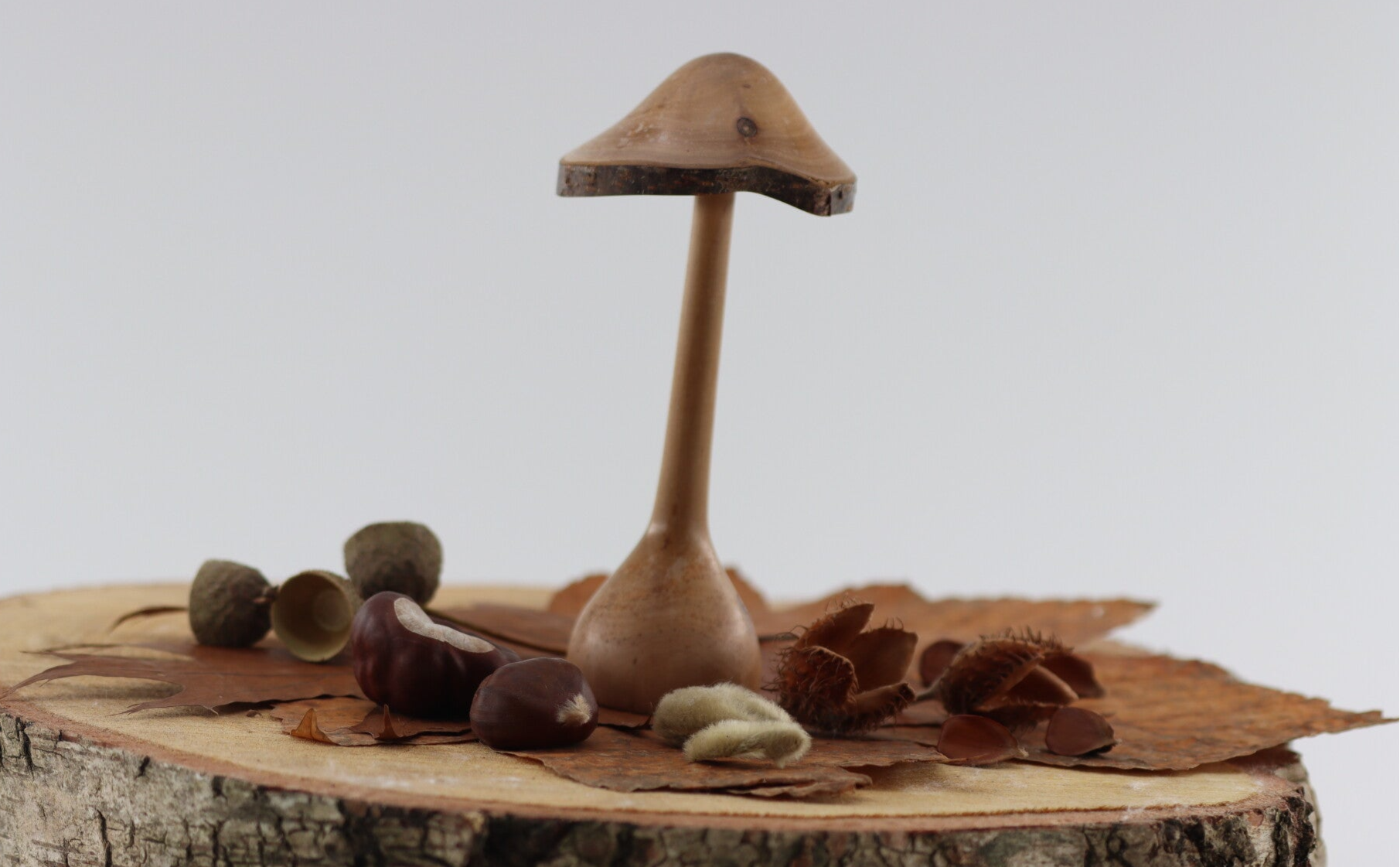 Paddenstoel gemaakt van Amerikaans Vogelkershout met een natuurlijke rand aan de hoed.