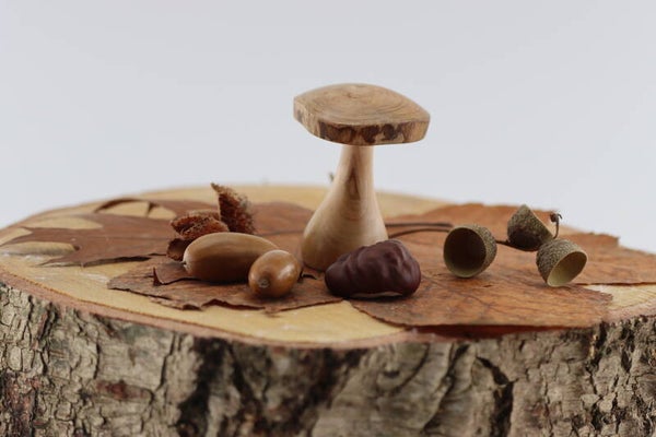 Paddestoel met een natuurlijke hoedrand gemaakt van Essenhout.