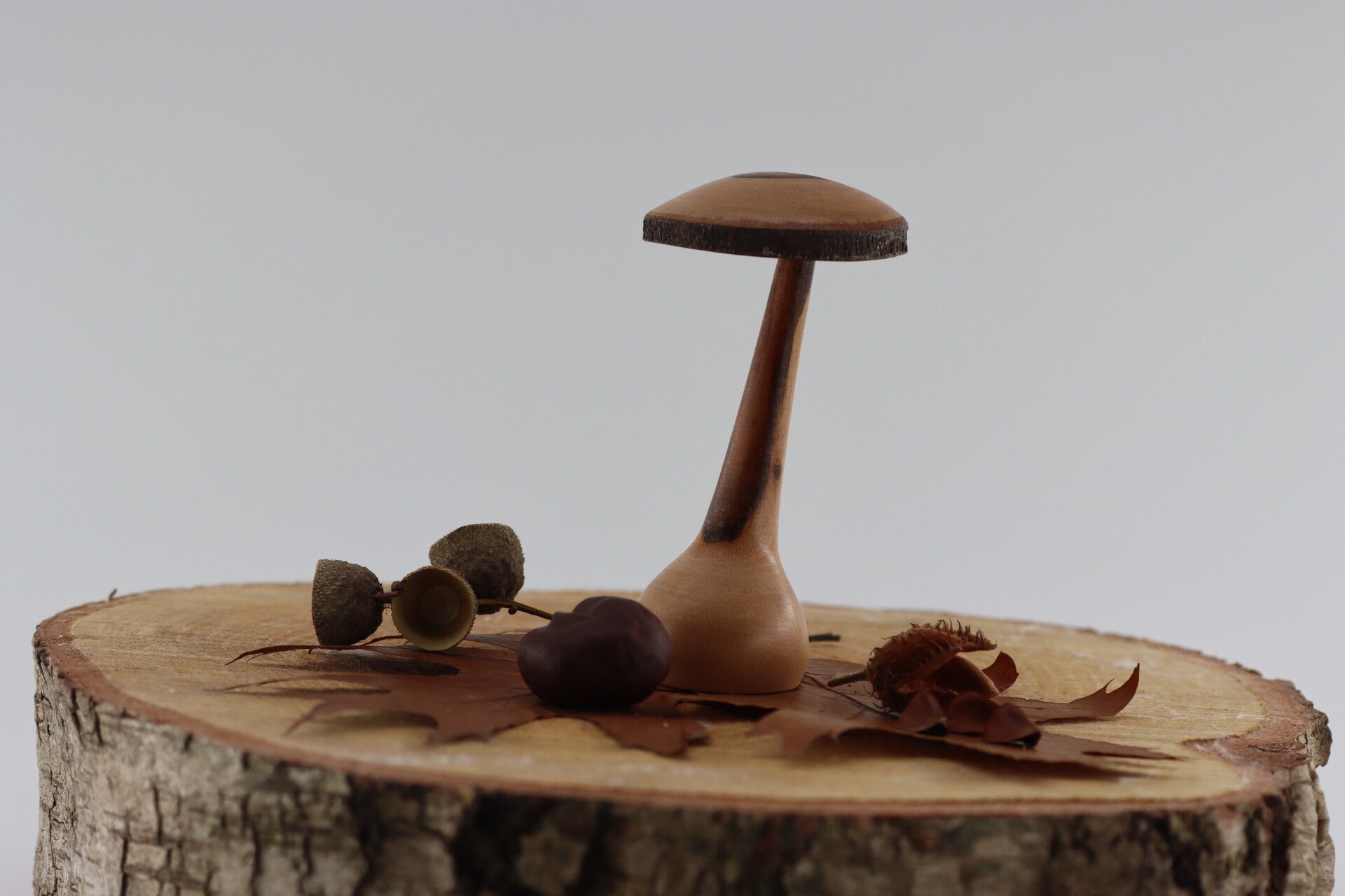 Paddenstoel gemaakt van Laurierhout