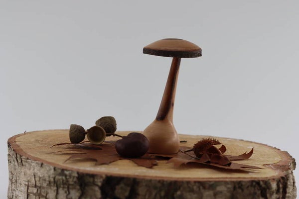 Paddenstoel gemaakt van Laurierhout