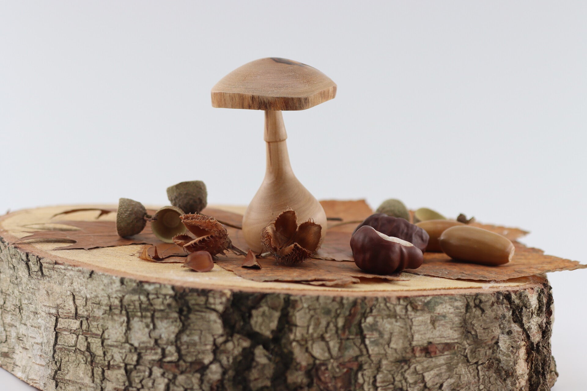 Paddenstoel Gemaakt van Laurierhout met een natuurlijke rand  en karateristieke knoest in de hoed