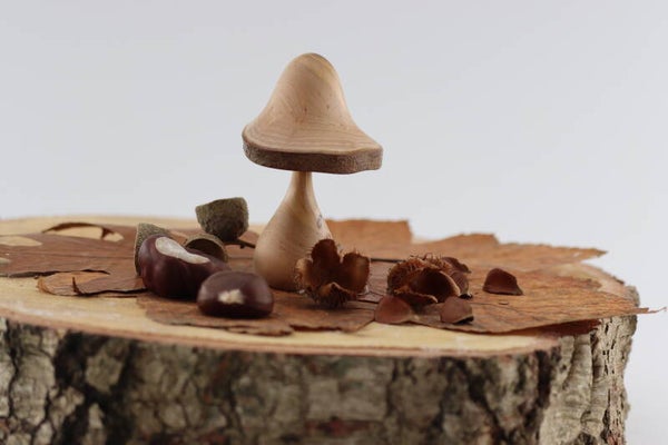 Paddenstoel gemaakt van Hazelnoothout