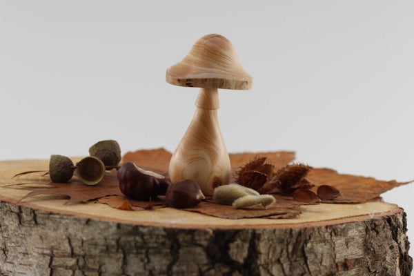 Mooie paddenstoel gemaakt van Tsjechische Berg dennenhout met een natuurlijke rand op de hoed.