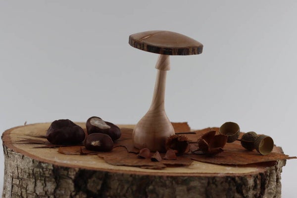 Paddenstoel gemaakt van Slangenschors Esdoornhout met natuurlijke rand