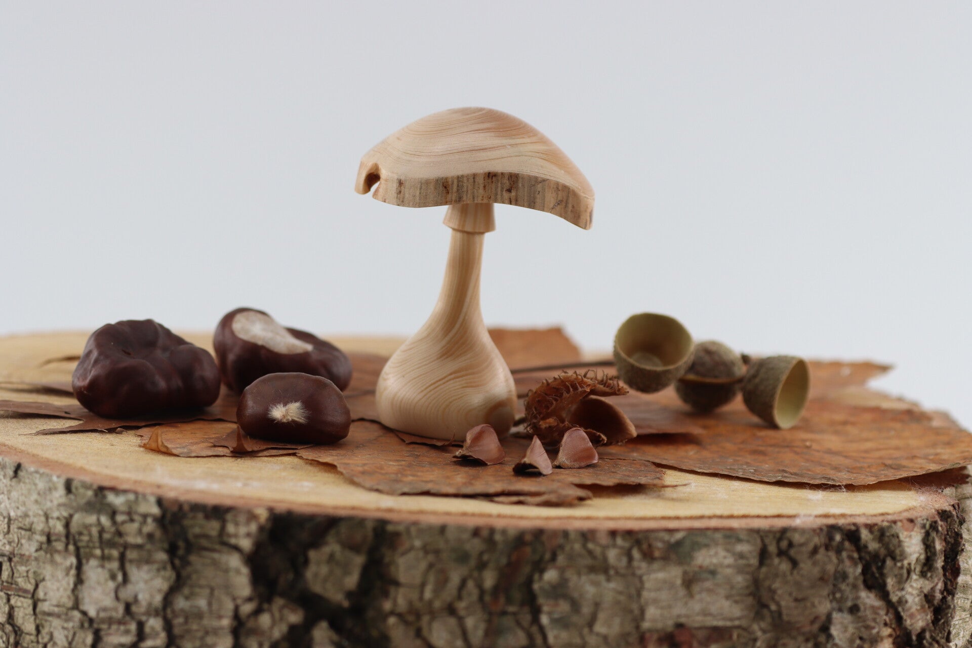 Paddenstoel gemaakt van Tsjechische Berg Dennenhout met natuurlijke rand.