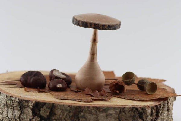 Paddenstoel gemaakt van Slangenschors Esdoornhout met een natuurlijke rand aan de hoed.