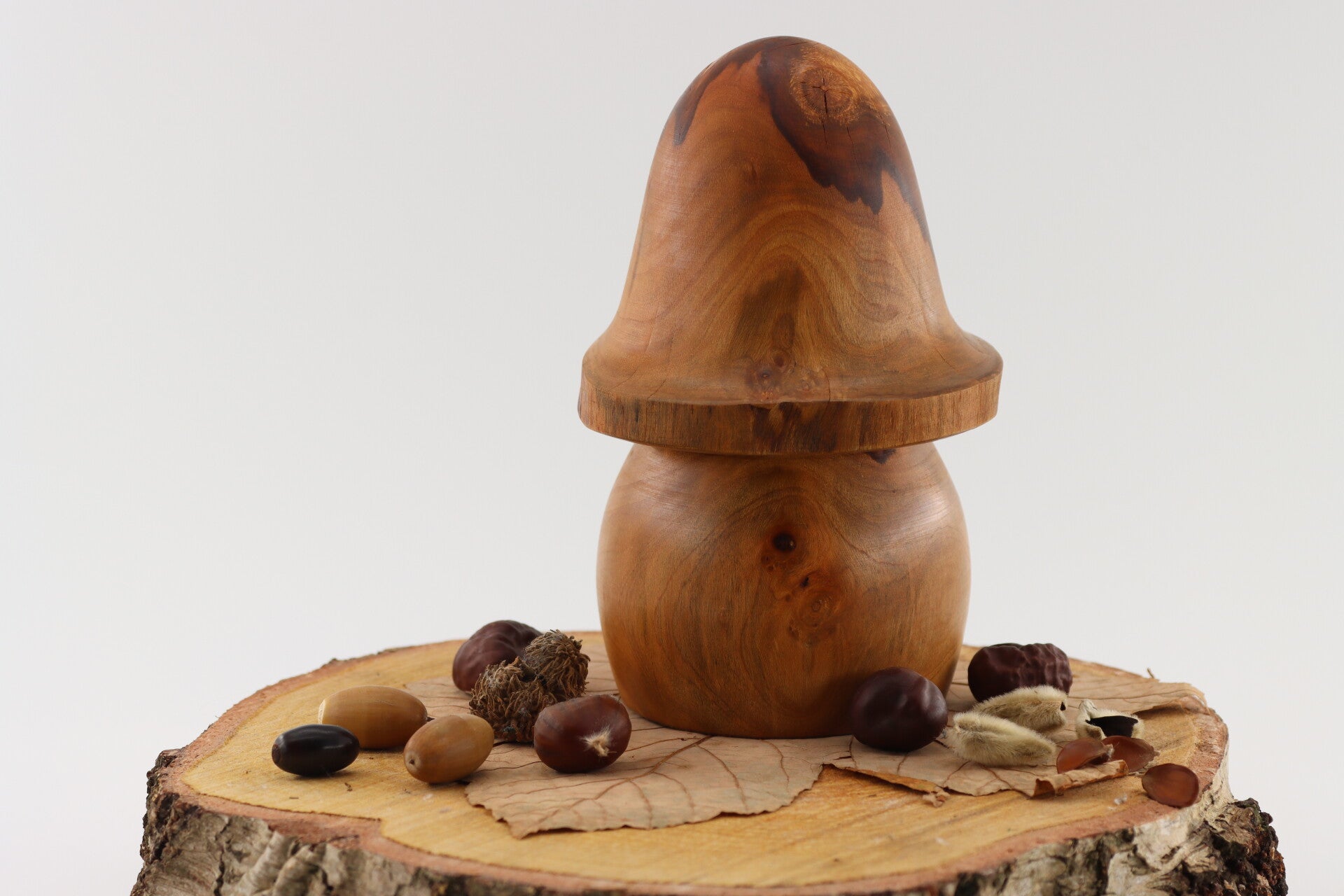 Grote robuuste paddenstoel gemaakt van Laurierhout