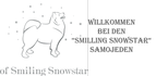 Samojeden of Smiling Snow Star