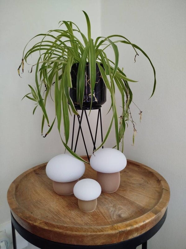 Decoratieve  japandi paddelstoel container