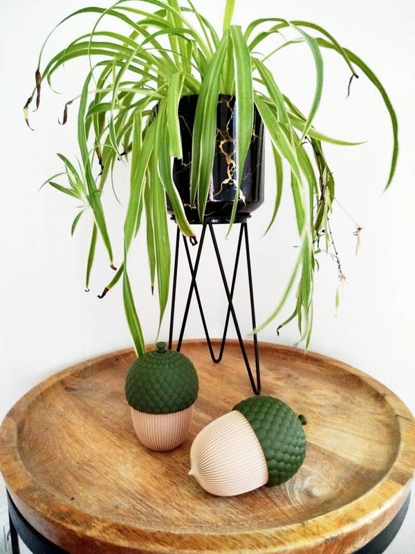 Decoratieve eikel containers