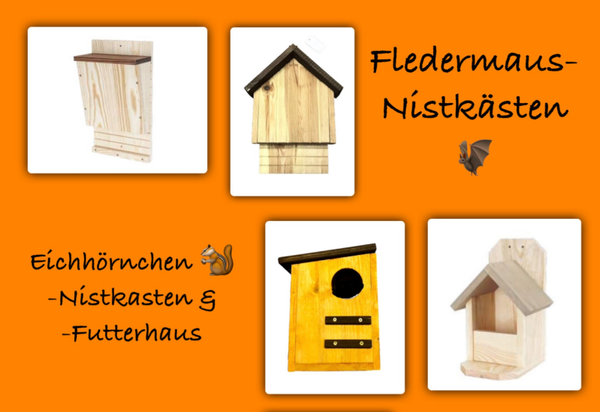 Fledermaus-Nistkästen, Eichhörnchenhaus und -Nistkasten