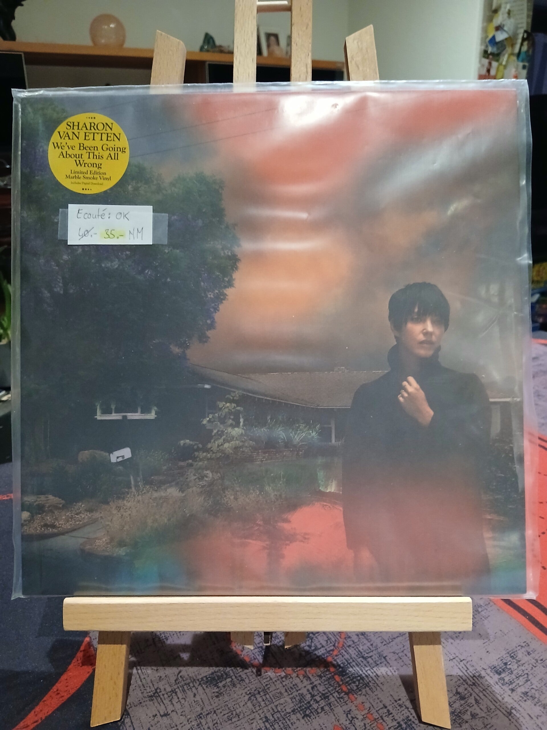 Sharon Van Etten