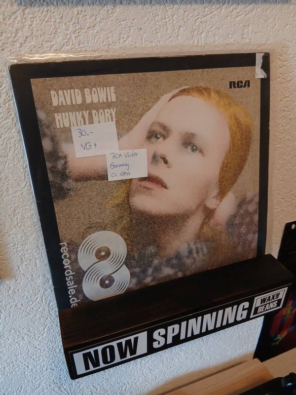 David Bowie
