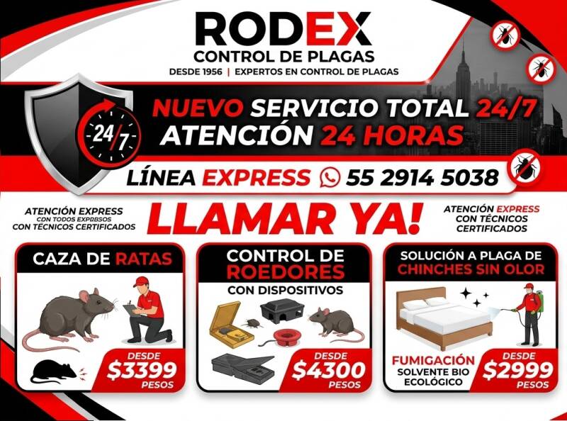 Fumigaciones 24 horas CDMX Fumigación profesional contra plagas Control de plagas urgente Fumigaciones para empresas en México Fumigación segura para hogares Servicio de fumigación inmediato Expertos en control de plagas Fumigación efectiva y garantizada 