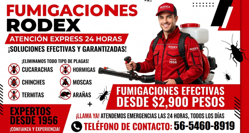 Fumigación profesional para casas y negocios en Ciudad Azteca Control de plagas efectivo para hogares en Ciudad Azteca Servicio de fumigación contra cucarachas en Ciudad Azteca Fumigación económica y segura para negocios en Ciudad Azteca Control profesion