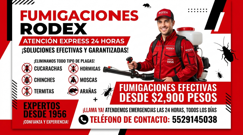 fumigaciones organicas para control de plagas en Mexico servicios profesionales de fumigacion organica para hogares negocios control ecologico de plagas seguro para familias mexicanas fumigacion organica efectiva contra insectos rastreros y voladores solu