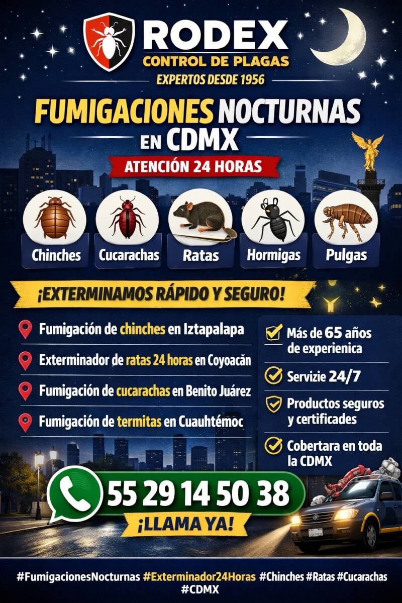 RODEX MEXICO