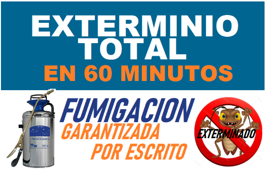 Fumigaciones profesionales contra plagas en Colonia Pensil Miguel Hidalgo Control de plagas para casas en Colonia Pensil Fumigación contra cucarachas y chinches en Miguel Hidalgo Servicio profesional de fumigación para hogares en Pensil Eliminación de pla