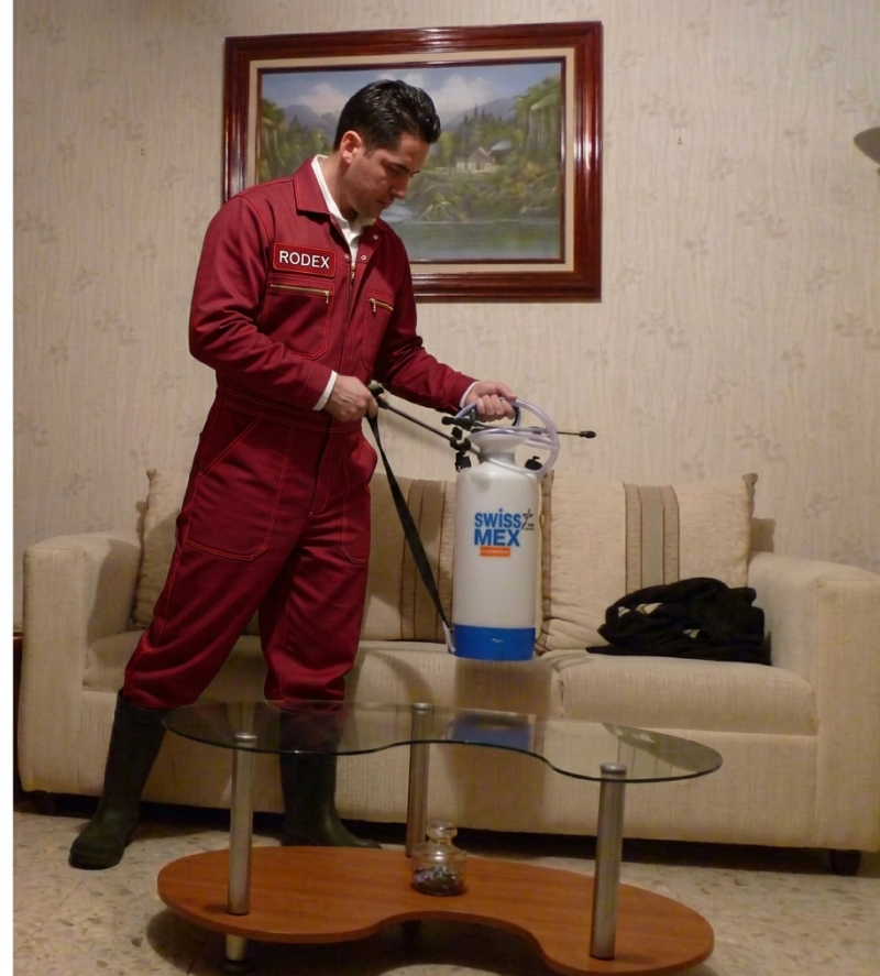 RODEX