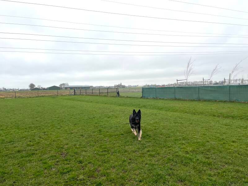 We trainen op een mooi omheind terrein