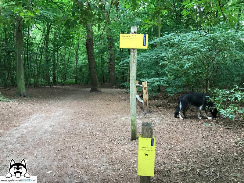 Losloopgebied Heilooërbos Heiloo Noord-Holland. Door Hondenspeelotheek Spelen met Honden Heerhugowaard.