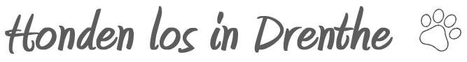 Honden los in Drenthe