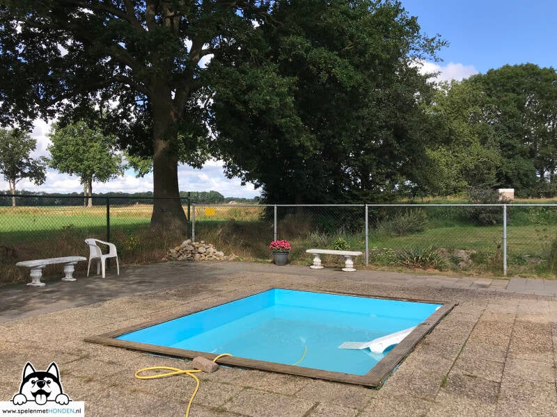 Hondenspeeltuin Midden-Drenthe in Beilen, Drenthe. Superleuk en mooi voor honden