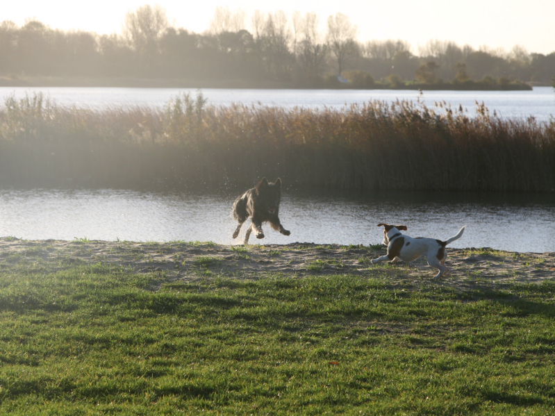 Losloopgebied Geestmerambacht Noord-Scharwoude Noord-Holland