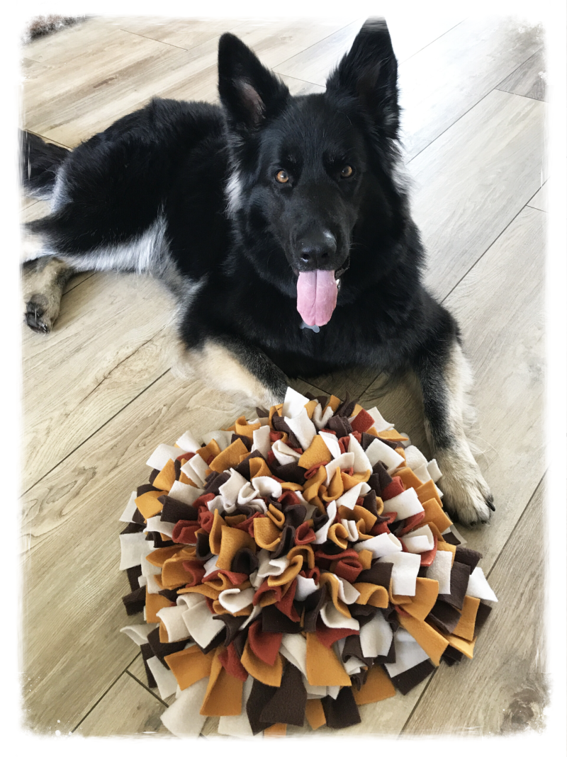 De kleuren van de snuffelmatten kun je zelf kiezen, zodat het een leuke persoonlijke mat wordt voor jou en jouw hond