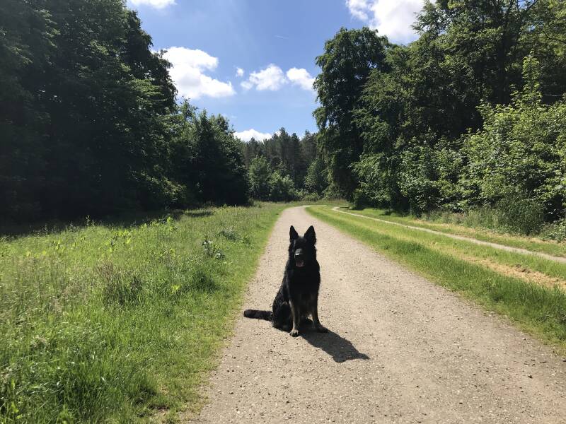 Wandelen in het Gelderse Hout, Lelystad