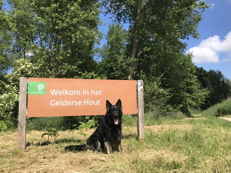 Wandelen in het Gelderse Hout, Lelystad