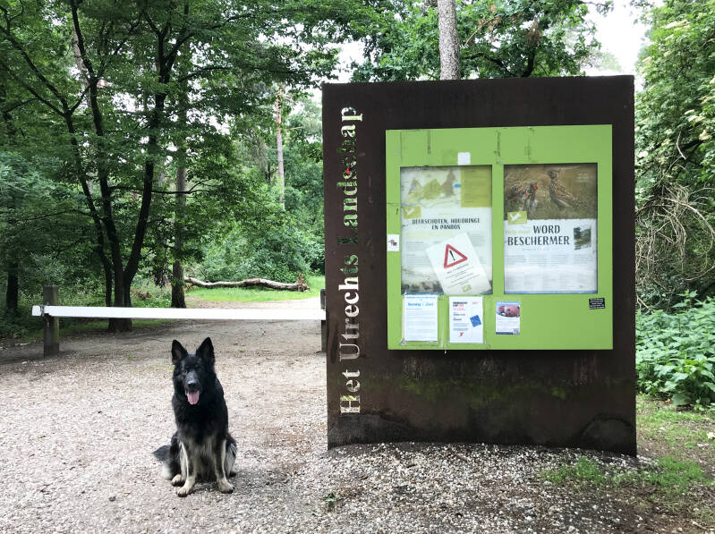 Een leuke wandeling in Noord-Holland is De Hulk in Hoorn.  Spelen met Honden, speelotheek voor honden