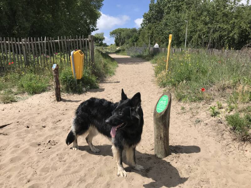 De ingang van Berkheide in Katwijk,Hondenspeelotheek Spelen met Honden