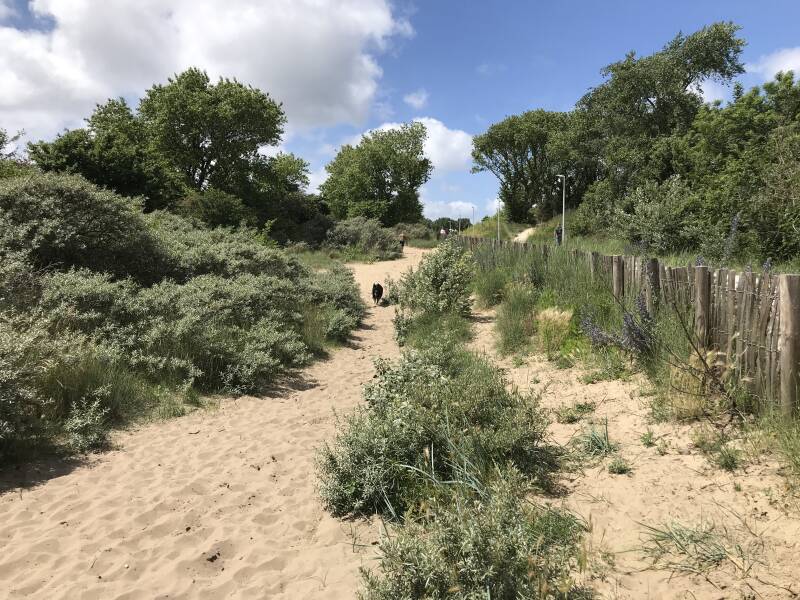 Het eerste stuk door mul zand bij Berkheide in Katwijk, Hondenspeelotheek Spelen met Honden